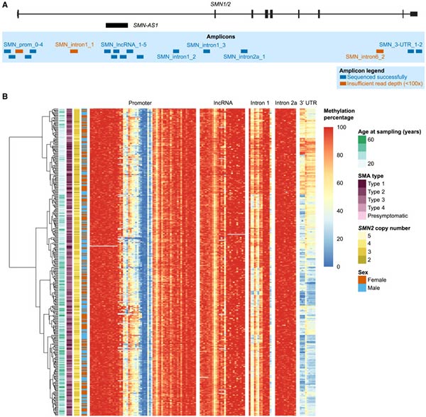 DNA methylation as an epigenetic biomarker.