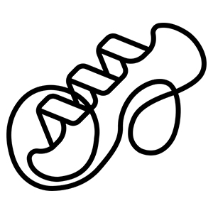 Tertiary & Quaternary Structure