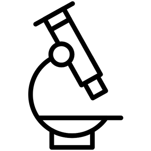 Other Structural Features