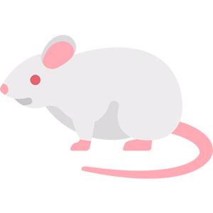 In Vivo Functional Assays