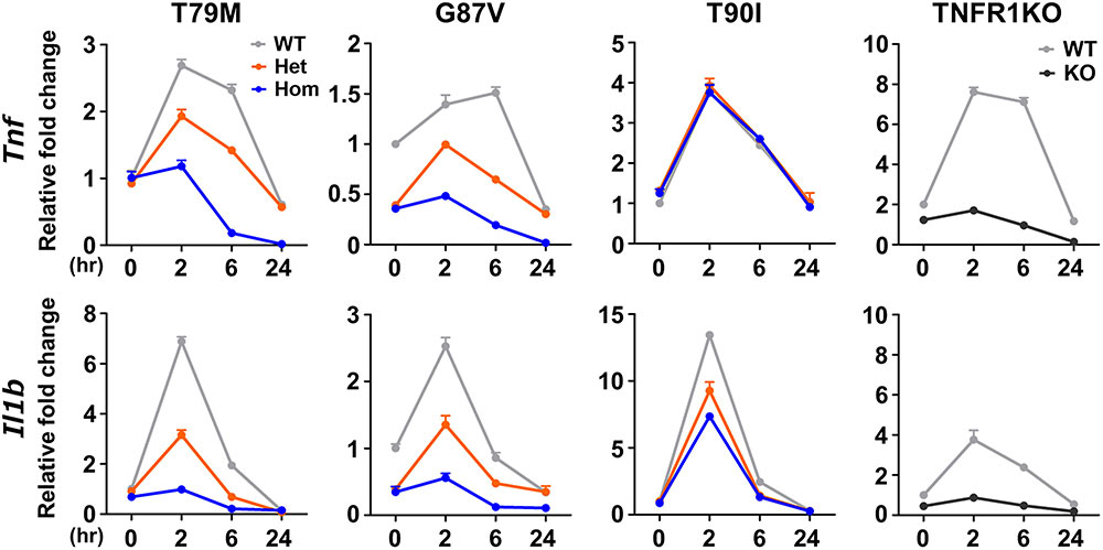 TRAPS mutations in Tnfrsf1a decrease the responsiveness to TNFα via reduced cell surface expression of TNFR1.