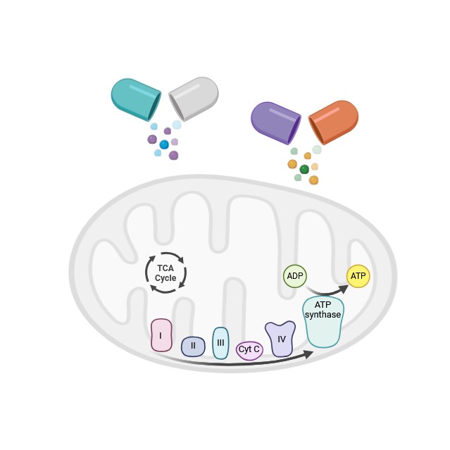 Species Comparison Capability