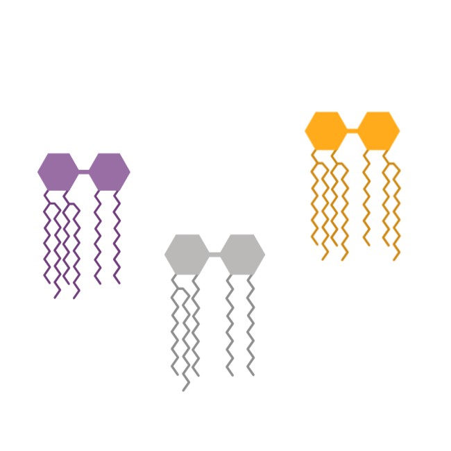 Fatty Acid Profiling