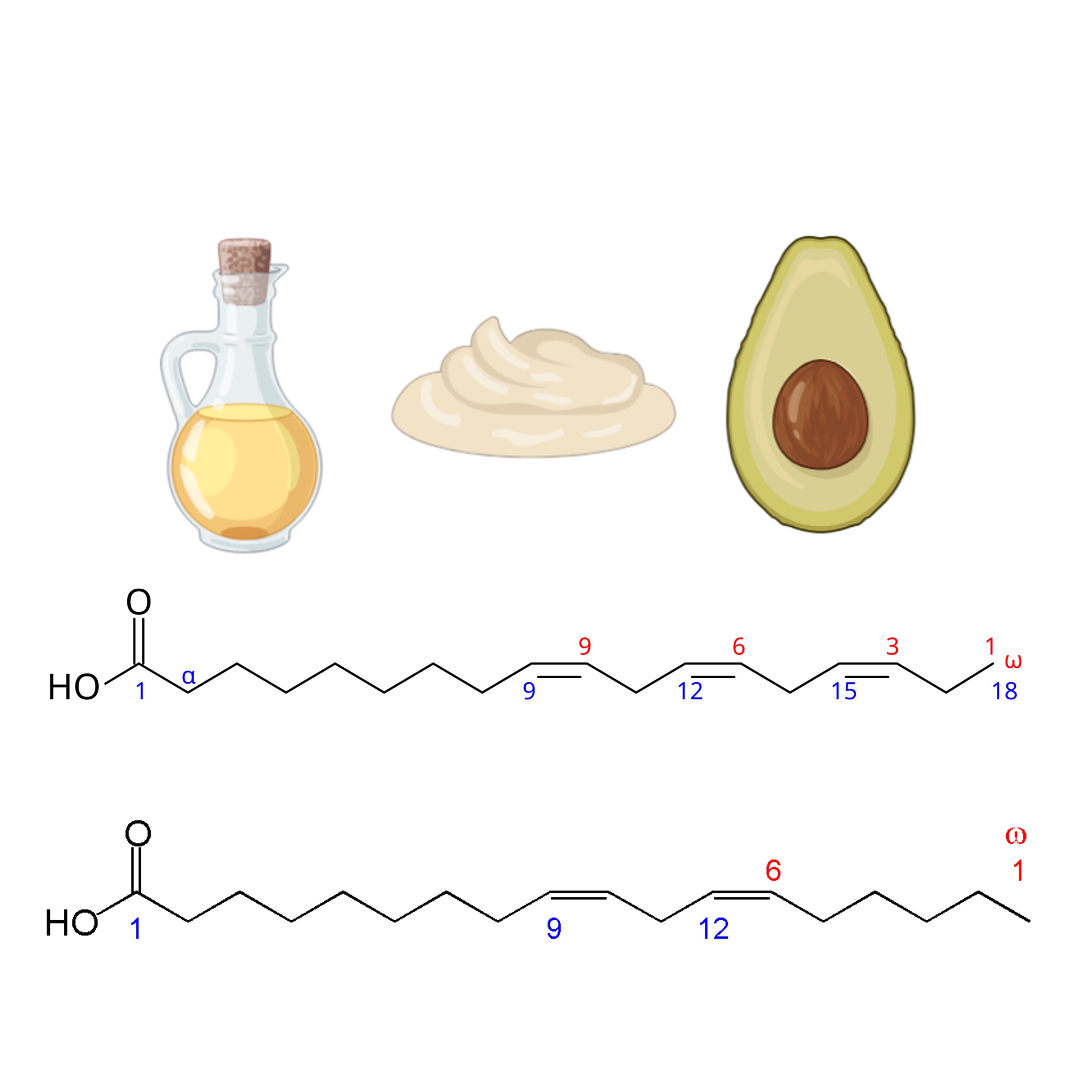 Omega-3 and Omega-6 Index Testing