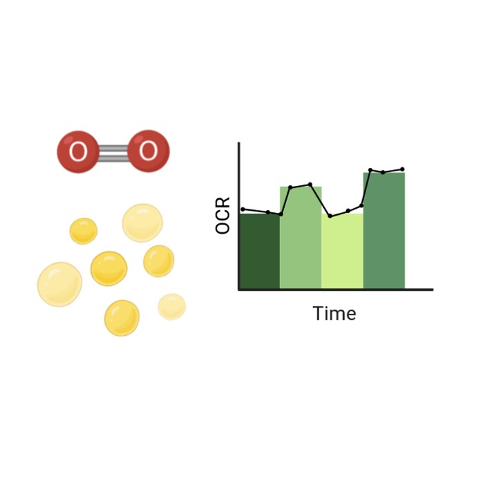Fatty Acid Oxidation Assays