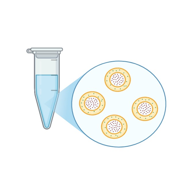 Fatty Acid Profiling
