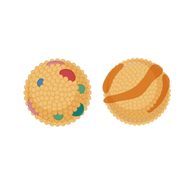 Omega-3 and Omega-6 Index Testing