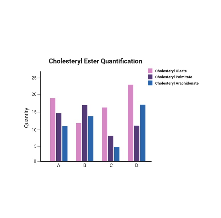 Fatty Acid Oxidation Assays