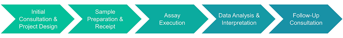Metabolism assay service procedure.