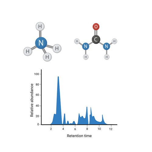 Metabolic Stability & Profiling