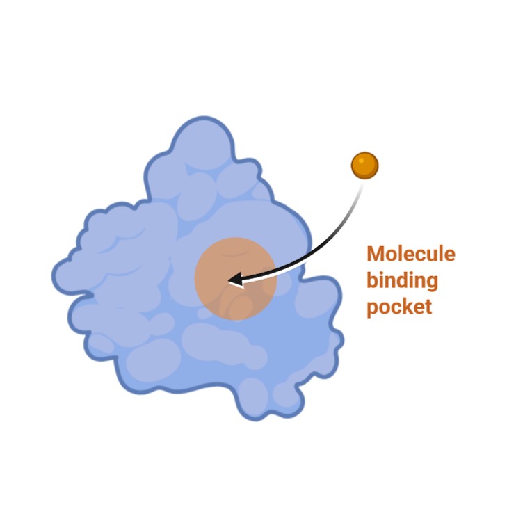 Metabolic Drug-Drug Interactions