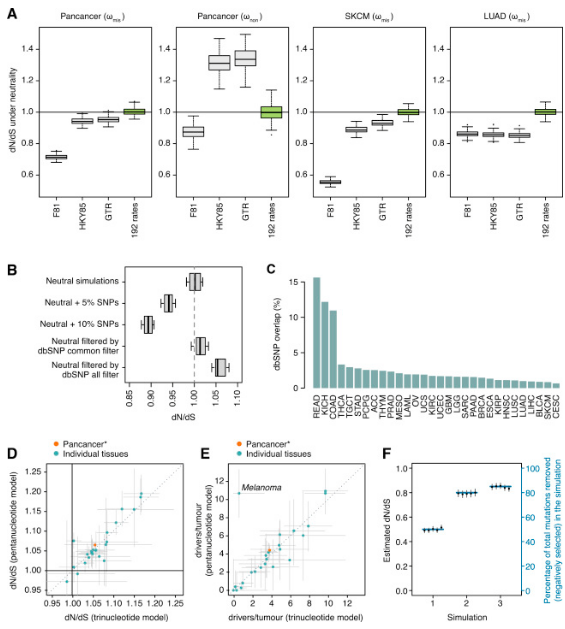 Universal Patterns of Selection in Cancer and Somatic Tissues