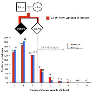 Genomic Patterns of De Novo Mutation in Simplex Autism