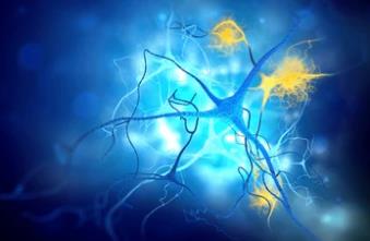 A New Study Has Successfully Constructed a Human Neuron Model That Simulates the Diffusion of Tau Protein Aggregates