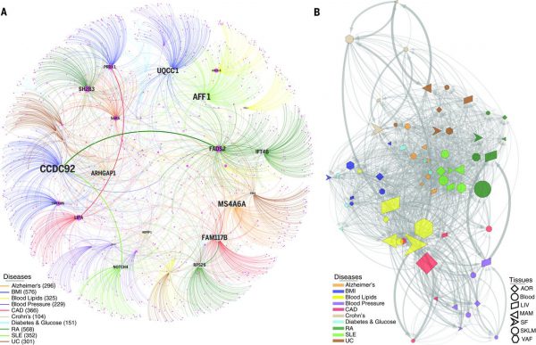 Genome-wide Association Studies for Cardiometabolic Risk Discovery: CMDs Downstream Gene-regulatory Mechanisms Exploring