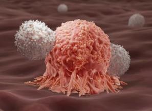 Activating GCN2 Can Metabolize Reprogrammed T Cells and Enhance Their Anti-Tumor Immunity