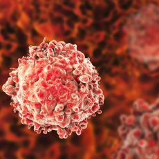 JCI: STAT3 Inhibitor May Provide New Hope for Leukemia Treatment