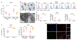 PD-1/TAM characterization