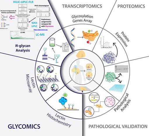 Key Targets in Molecular Characteristics of Parkinson's disease at Different Stages of Progression