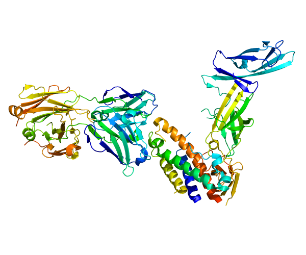 Breakthrough! Scientists Decipher The Fifteen Years’ Unresolved Secrets of IL-23, Revealed The Key Mechanism of Autoimmune Disease!