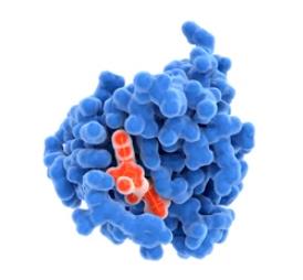 Regulatory Mechanism of RAS Palmitoyltransferase