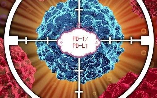 Interpretation of the Recent PD-1 Research Progress (Part II)