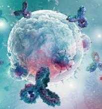 ACSS2 - A Promising New Anticancer Target