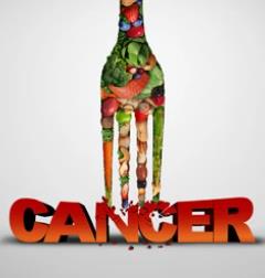 A New Mechanism Linking Poor Diet with Increased Cancer Risk