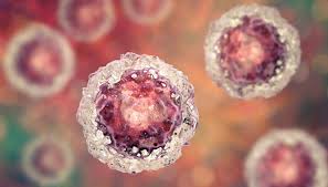 Cancer Res: Cancer Stem Cells May Use Normal Genes to "Do Evil"