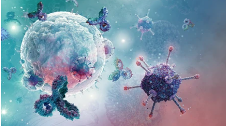 Novel CAR-T Cell Therapy with Potential for Treating Human Solid Tumors