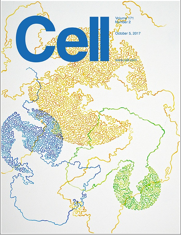 Highlights of the Journal Cell for Oct, 2017 (I)