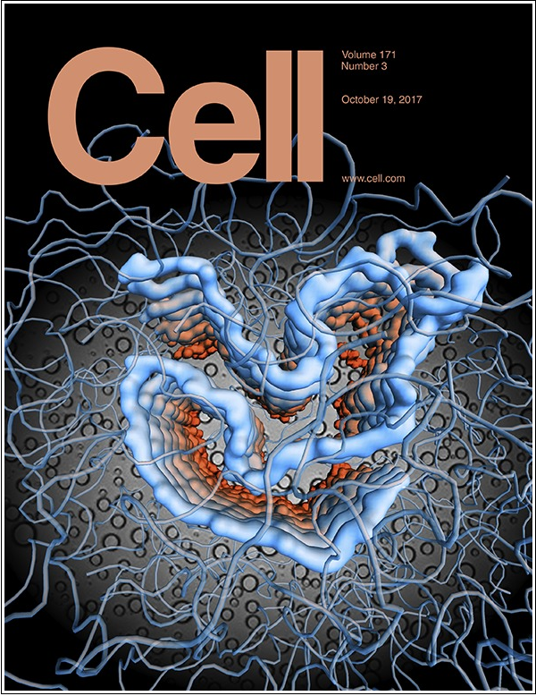 Highlights of the Journal Cell for Oct, 2017 (II)