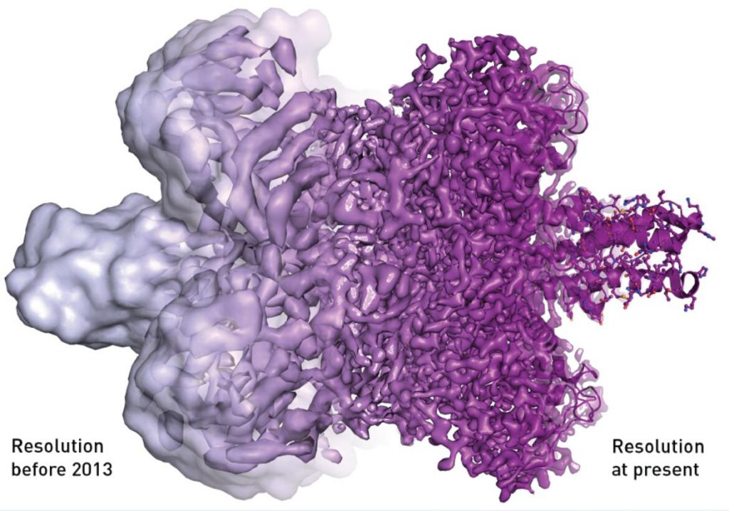 cyro-EM