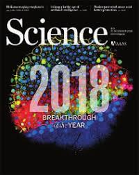 The Essence of Science Journal in December 2018