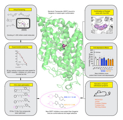 Scientists Have Screened New Serotonin Transporter Inhibitors From Over 20 Billion Molecules