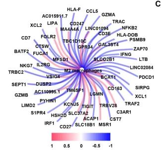 TRAF2 Is a Potential New Target for the Treatment of Advanced Renal Cell Carcinoma