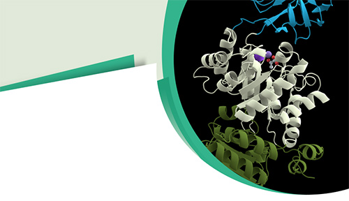 Boost Your Project With Lectin Products From Creative Biomart