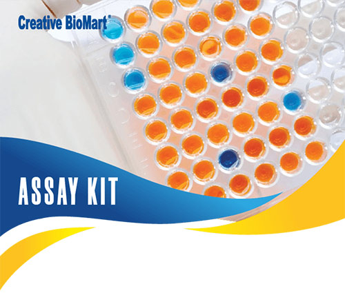 Creative Biomart Assay Kit