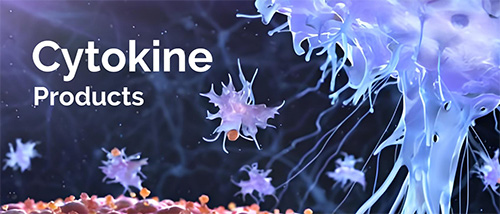 Cytokines For Organoid Culture