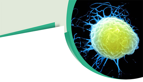 Harness The Power Of Superior Recombinant Cd Proteins