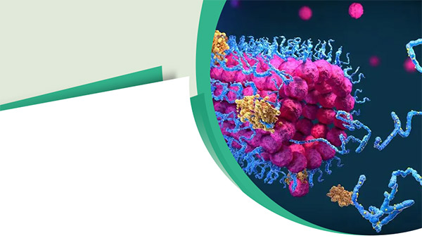 Transmembrane Protein
