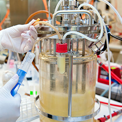 Scalable production capabilities for albumin fusion proteins