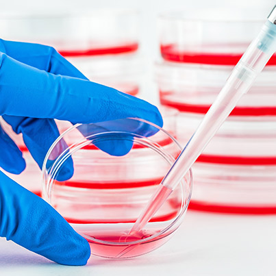 Multiple expression systems for albumin fusion protein production