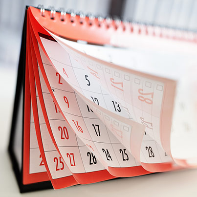 Rapid turnaround and end-to-end technical support for albumin fusion services