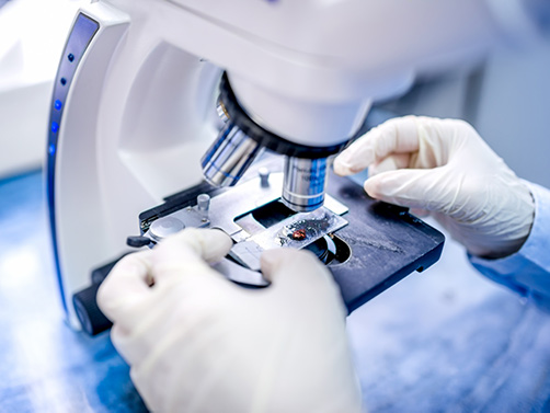 Pre-clinical pharmaceutical property analysis.