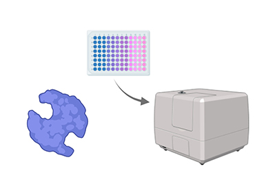 Biochemical assay development.