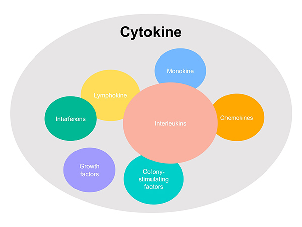 Nomenclature