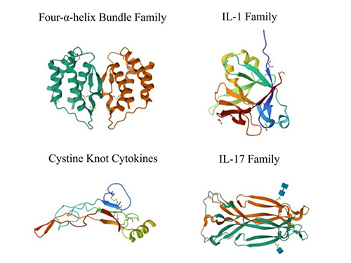 Classification  Based on Structure