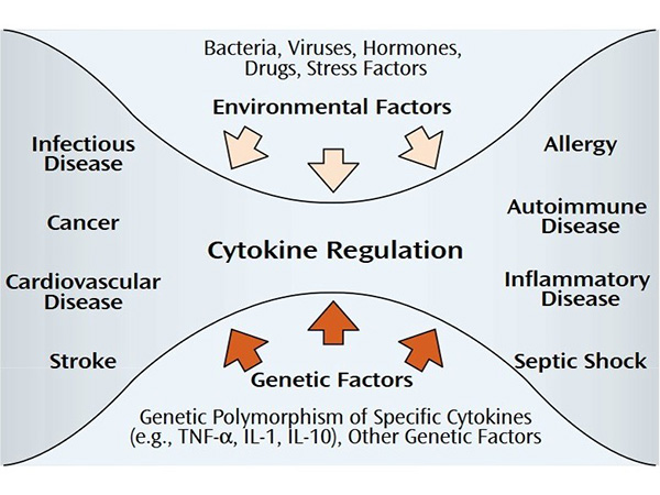 Cytokine Regulation