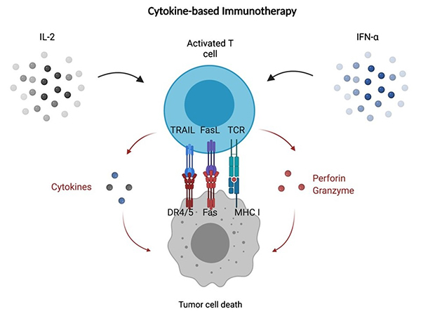 Cytokine Therapy